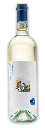 Pecorino